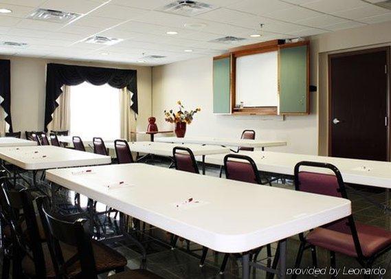 Comfort Suites Wixom Faciliteter billede